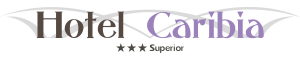 Logo cliente